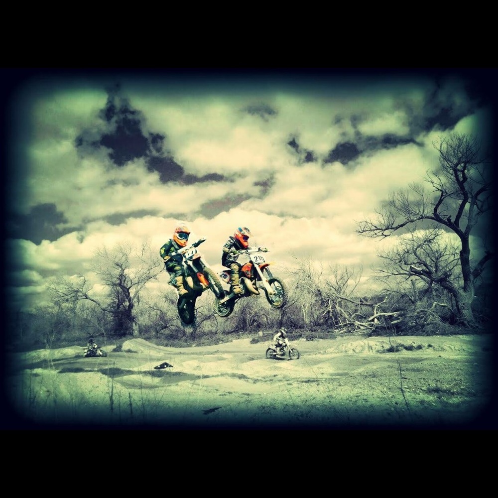 Meet your Posher, Remy - Picture 8 of 8